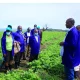 Birya Farmers Trainings