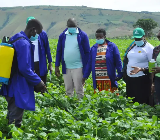 Birya Farmers learning