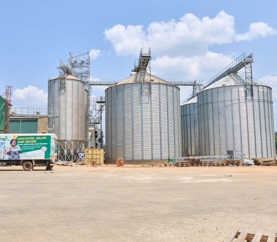Birya Storage Silos